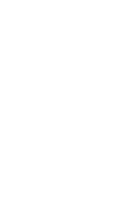 Smadlytics Logo
